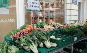 Légumes sur étal de marché